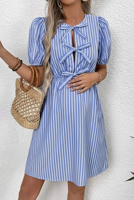 The Stylish Mom Dress