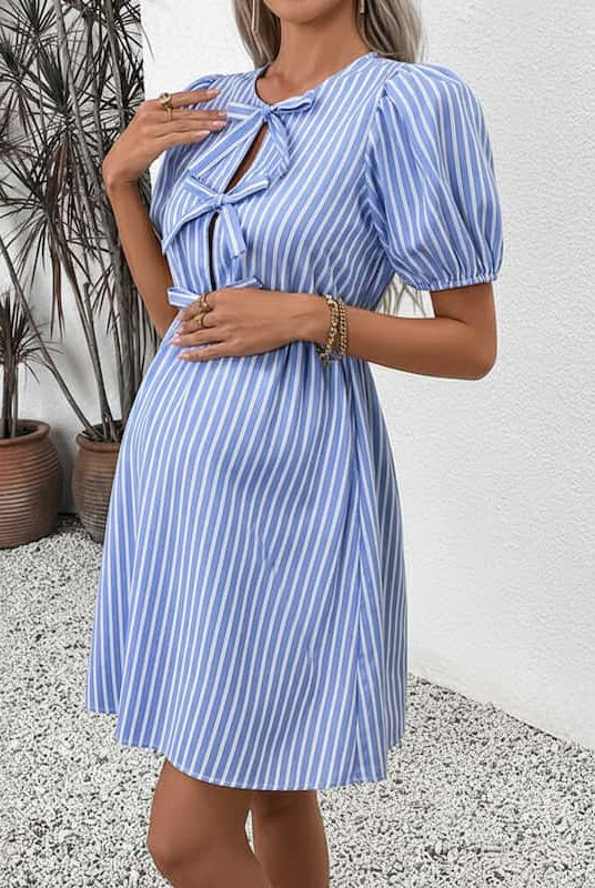 The Stylish Mom Dress